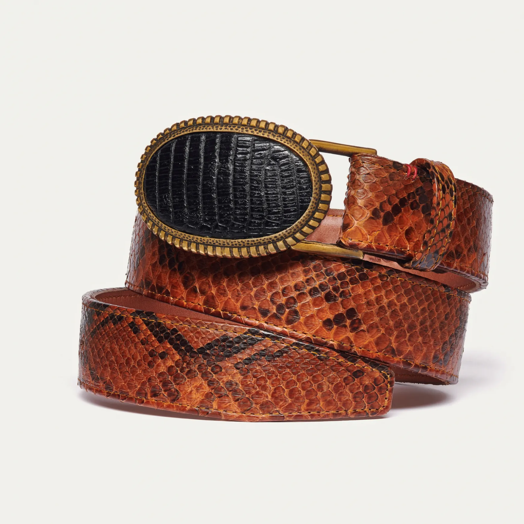 New Claris Virot Ceintures Dallas Python moka et noir