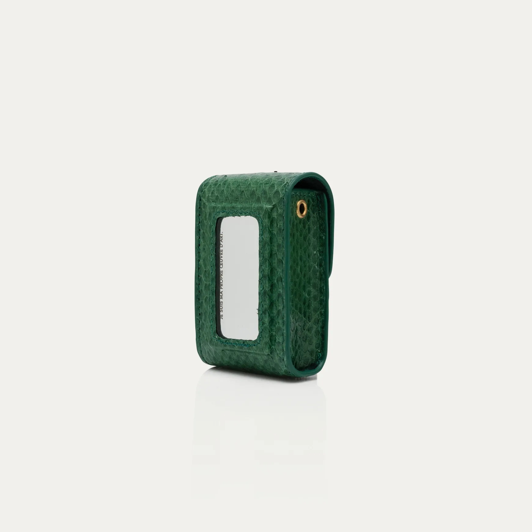 New Claris Virot Etui Rouge à Levres Dita Python Vert Pelouse